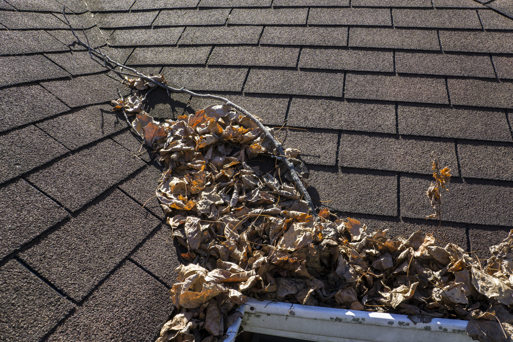 Cleaning Your Roof Debris