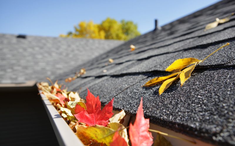 How to Keep Your Roof in Top Shape