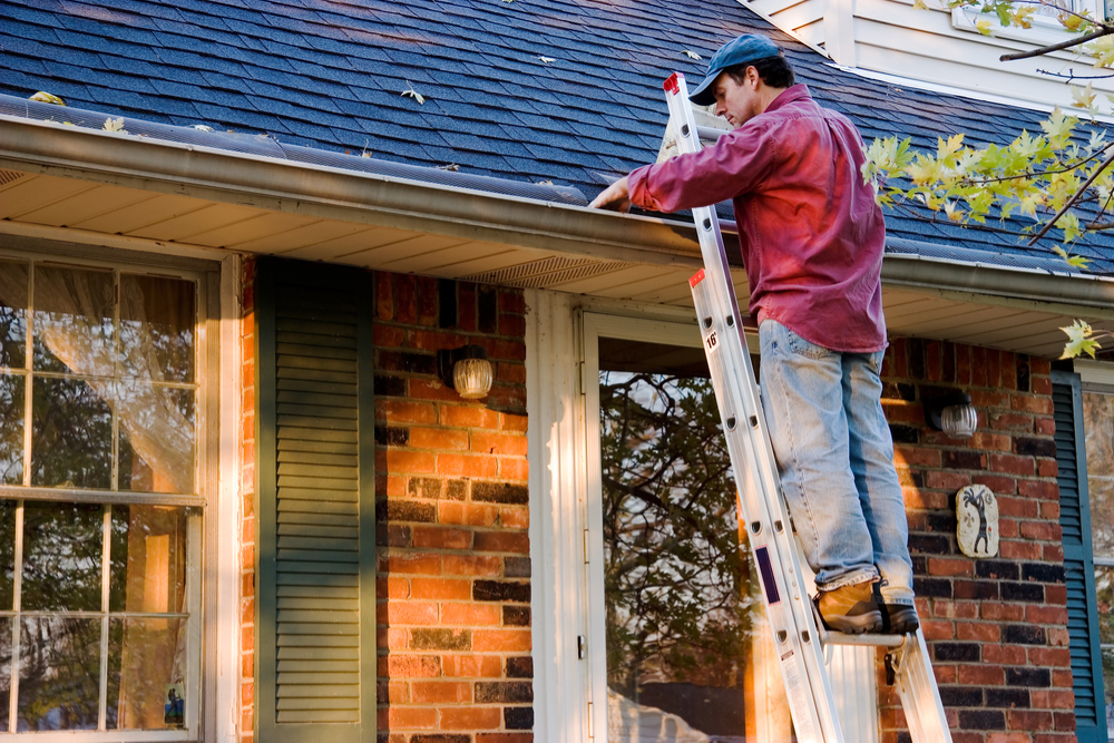 How Often Does Your Roof Need Maintenance and Why?