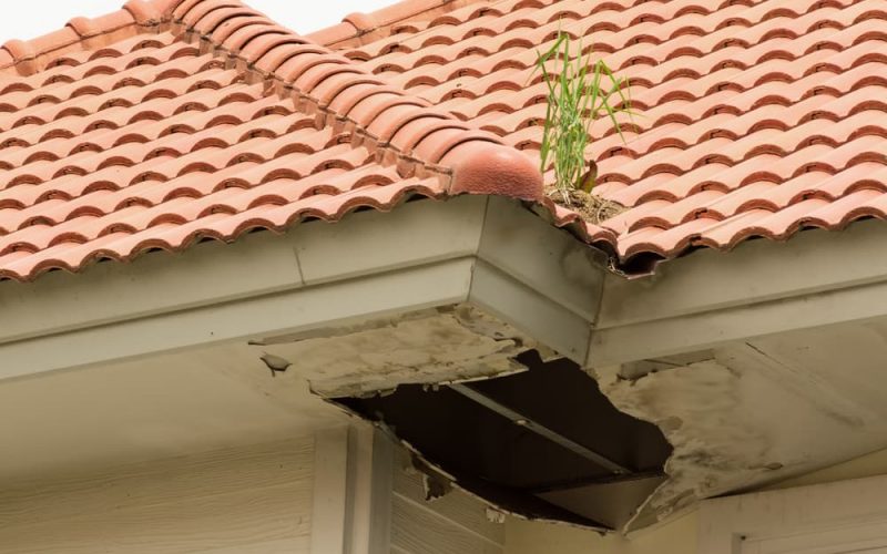 Summer Maintenance Roofing Tips