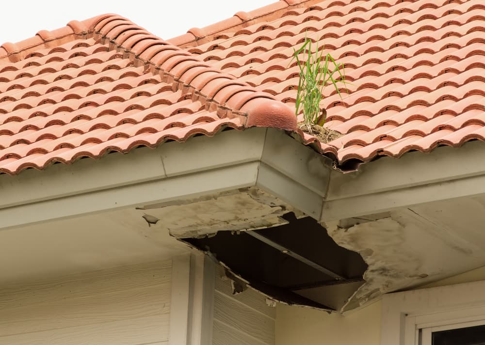Summer Maintenance Roofing Tips