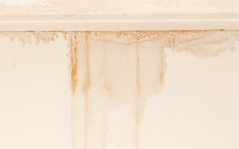 Is Condensation Causing My Roof to Leak? How to Fix a Leaking Roof